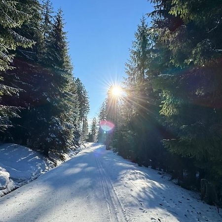 Mitterdorf Almberg X29 Lägenhet Mitterfirmiansreut Exteriör bild