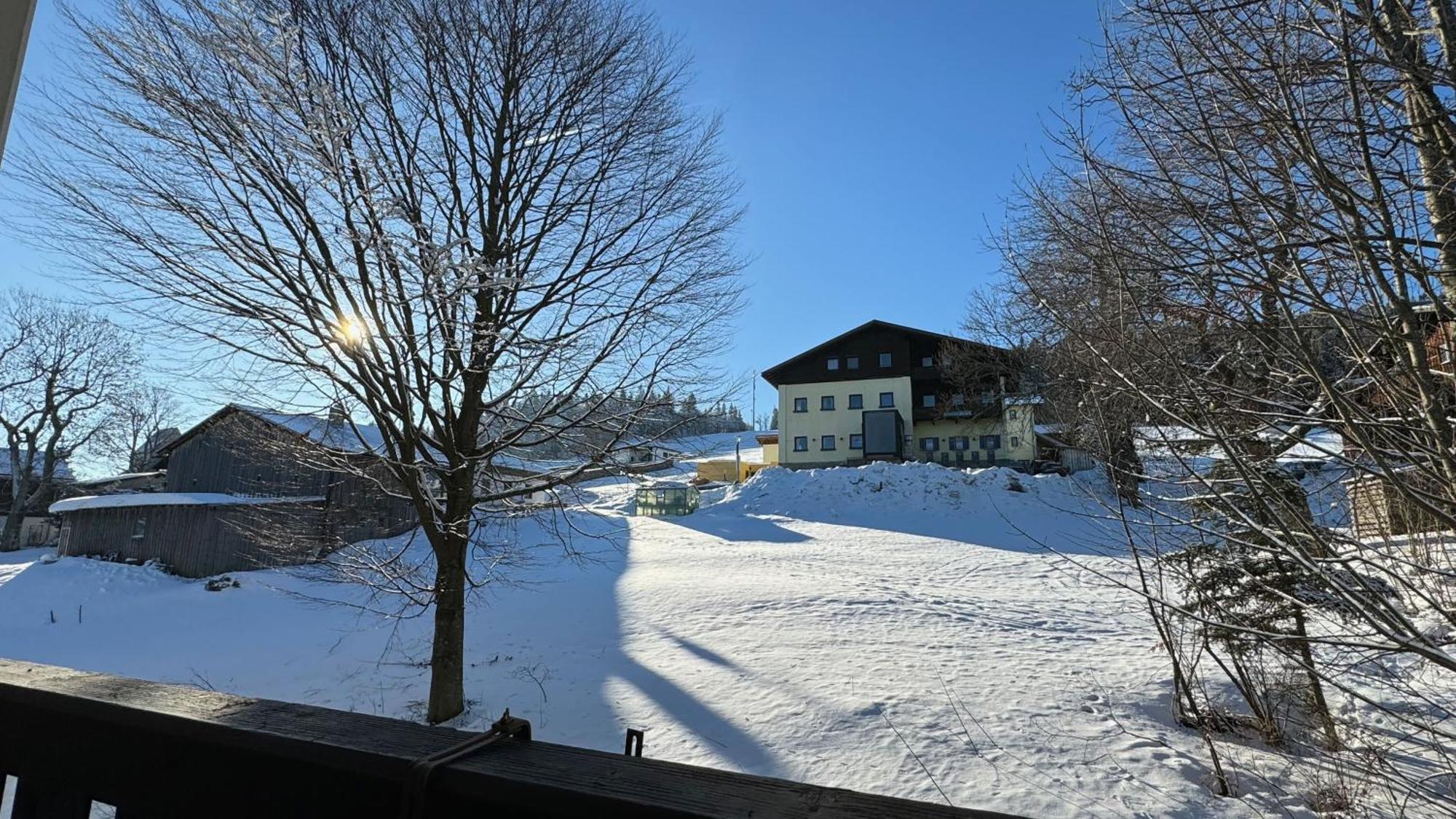 Mitterdorf Almberg X29 Lägenhet Mitterfirmiansreut Exteriör bild