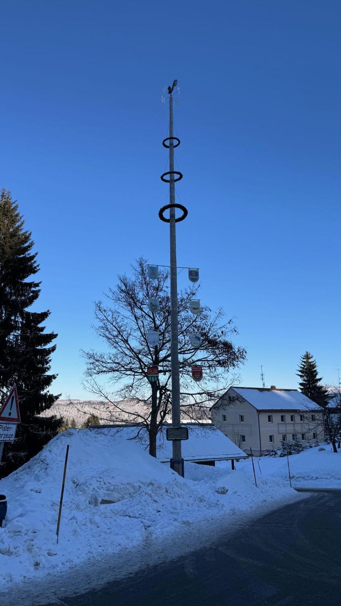 Mitterdorf Almberg X29 Lägenhet Mitterfirmiansreut Exteriör bild